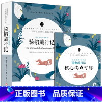 骑鹅旅行记 [正版]中小学课外阅读1-2-3三4四5五6六年级上下册必读快乐读书吧书籍四大名著稻草人安徒生格林童话爱的教