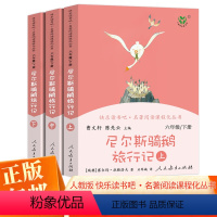 尼尔斯骑鹅旅行记 [正版]尼尔斯骑鹅旅行记上中下3册原著曹文轩无删减人教版快乐读书吧六年级下小学生阅读课外书阅读书籍企鹅