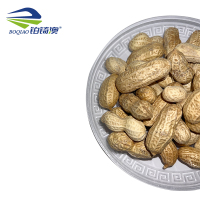 铂锜澳一次性航空碗水晶碗