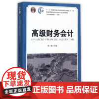 高级财务会计(普通高等教育经济学管理学重点规划教材)