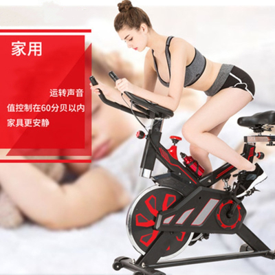 动感单车飞轮15KG家用健身车迈登高健身单车室内自行车有氧室内单车