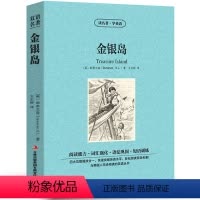 [中英互译]金银岛 [正版]巴黎圣母院中英文双语书籍名著读物英汉对照小说全套阅读 巴黎圣母院原著 读名著学英语 高初中生