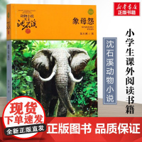 象母怨 升级版 沈石溪动物小说正版品藏书系 小学生三年级四年级课外书7-8-9-10岁寒暑假课外书阅读浙江少年儿童出版社