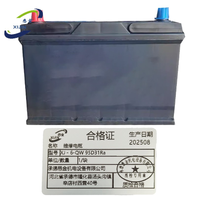 悉金 维修电瓶 XJ - 6-QW 95D31Ra 块