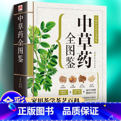 中草药全图鉴 [正版]常见中草药全图鉴应用图册全图鉴书籍大全 中药医学入门药材图鉴图谱中药养生功效药方健康类方剂中草药实