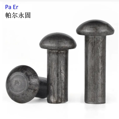帕尔永固半圆头铆钉6×30mm 个