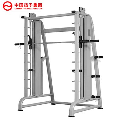 扬子(YANGZI)史密斯训练器YZ-A6020