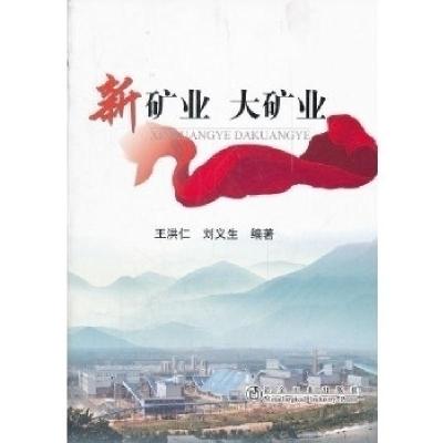 正版新书]新矿业大矿业王洪仁9787502458270