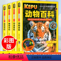 送给孩子的科普探索(全4册) [正版]中国幼儿儿童百科全书大百科全套少儿青少年早教启蒙恐龙植物动物昆虫科普百科全书小学生