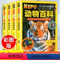 送给孩子的科普探索(全4册) [正版]中国幼儿儿童百科全书大百科全套少儿青少年早教启蒙恐龙植物动物昆虫科普百科全书小学生