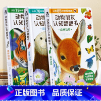 动物朋友认知翻翻书3册 [正版]童书动物朋友手指推拉书-忙碌的小兔/精装 0-3-6岁 婴幼 低幼启蒙 早教认知书 15