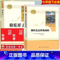七上下♥全套10册 [正版]朝花夕拾西游记骆驼祥子海底两万里白洋淀纪实湘行散记猎人笔记镜花缘城南旧事7七年级上下册课外书