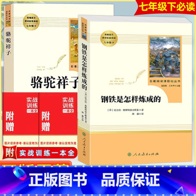 七上下♥全套10册 [正版]朝花夕拾西游记骆驼祥子海底两万里白洋淀纪实湘行散记猎人笔记镜花缘城南旧事7七年级上下册课外书