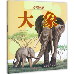 [N]大象-9787559604699