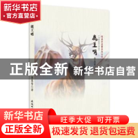 正版 鹿王哨 李慕雪著 安徽师范大学出版社 9787567626928 书籍