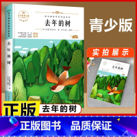 去年的树 [正版]宝葫芦的秘密 三年级四年级必读课外书老师小学生阅读书籍张天翼原著宝葫芦娃里的故事3-4年级上下册人教版