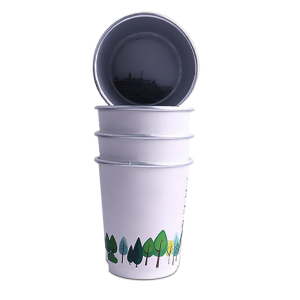 风之晨曦 FZCX-10 10只/筒 一次性茶杯带茶叶隐茶纸杯杯茶 红茶、绿茶可选 红茶