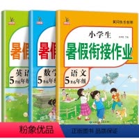 [3册]语文+数学+英语暑假作业 小学五年级 [正版]五年级下册暑假作业 全套3册语文数学英语五升六暑假衔接小学练习五年