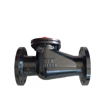 伟鹏双兴 铸铁法兰旋启式止回阀 DN100 台
