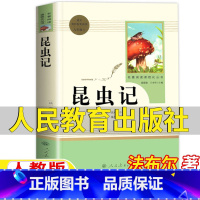 昆虫记 [正版]昆虫记全册人民教育出版社原著完整版八年级必读名著法布尔著无删减版人教版八年级上册初中生二年级初二学生阅读