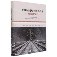 [N]瓦斯隧道综合防治技术及管理实务(精)-9787568927116
