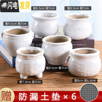 三维工匠多肉花盆陶瓷小号植物盆栽创意个性北欧简约粗陶透气 套装1239-图示六个 中等花盆容器