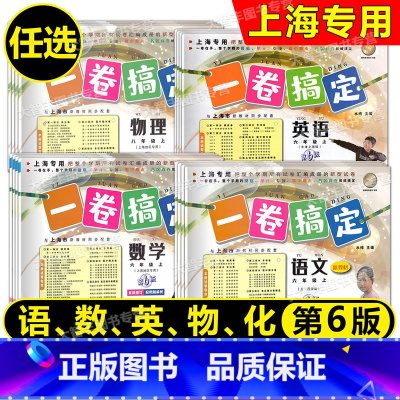 套装 九年级/初中三年级 [正版]2025春一卷搞定 语文数学英语物理化学 六七八九年级上下册 第6版 6789第一二学