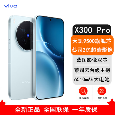 [全新]vivo X300 Pro 自在蓝 16GB+512GB 蓝晶×天玑9500芯 大电池 90W快充 支持无线充电 蔡司超级潜望长焦 拍照 AI手机
