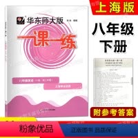 英语 八年级下 [正版]2023华东师大版一课一练 英语N牛津版 八年级第二学期/8年级下 华东师范大学出版社 上海版配