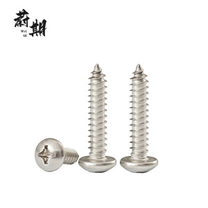 蔚期 不锈钢十字盘头自攻螺丝 M5*30 个
