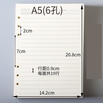 银杉公子 活页纸笔记本替芯A5六孔