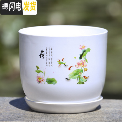 三维工匠水培花盆铜钱花盆水仙花睡莲碗莲无孔水养仿陶瓷大花盆 荷花(无孔水培花盆) 2号口径17.8厘米花盆容器