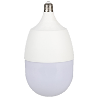 RKZN融科智能LED球泡GFQ-2765,6500K,白光,E27