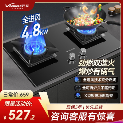 万和双眼燃气灶4.8KW钢化玻璃面板一级能效液化气旋转火技术可调底座C5L90S