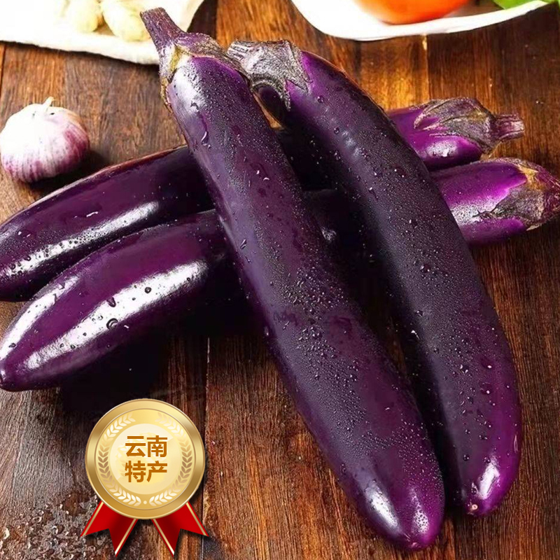 [西沛生鲜]新鲜紫茄子长茄子 净重8斤装 农家自种长线大茄子黑嫩现摘蔬菜