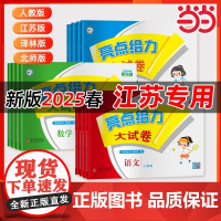 2025春2024秋亮点给力大试卷一二三四五六年级语文数学英语上下册译林版阶梯作业书本练习册思维拓展专项训练