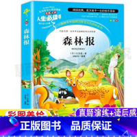 [正版]森林报全集合集合编版春夏秋冬彩图美绘版三四年级上下册通用小学生青少年课外书名师导读带批注读后感山东美术出版社邓