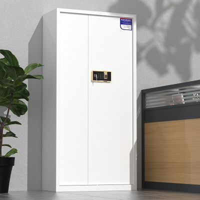 绵冠保密柜文件柜双保险铁皮柜办公资料柜档案柜钢制防盗密码柜灰白 指纹锁通门保密柜