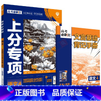 高考必刷题上分专项 高考语文4 [正版]2025版高考必刷题上分专项语文4文言实词虚词古代文化常识古诗文默写72篇版杨文