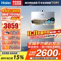 海尔(Haier)燃气热水器16升天然气家用双循环恒温无级变频水伺服五段微火TSI增压密闭稳燃舱一级降噪 KL7S-恒星