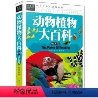 动物植物大百科 [正版]动物植物大百科精致图文版动物世界植物百科全书6-12岁昆虫百科全书奇妙大百科科普大全彩图小学生课