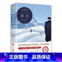 复活 [正版]尼尔斯骑鹅旅行记原著历险记完整无删减版原版六年级下册必读的课外书米尔斯美绘珍藏快乐读书吧全套小学生课外书阅