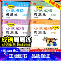 小学成语周周练 3-6年级(4本套) 小学四年级 [正版]小学成语周周练三年级四年级五年级六年级上册下册小学生成语学习范