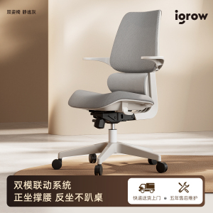 igrow爱果乐青少年骑马椅电脑椅人体工学椅写字椅书桌椅学习椅子