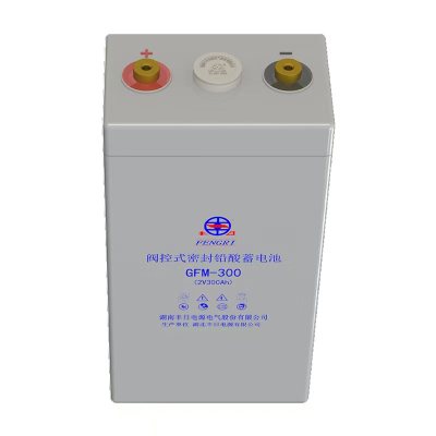 丰日 阀控式密封铅酸蓄电池 GFM-300(2V300Ah) 组
