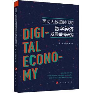 正版新书]面向大数据时代的数字经济发展举措研究成卓9787010217