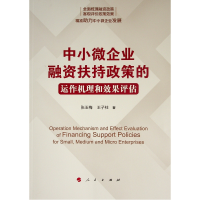 音像中小微企业融资扶持政策的运作机理和效果评估张玉梅//王子柱