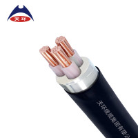 天环 低压铜芯铠装电力电缆 1米 YJV22-0.6/1KV-3*16