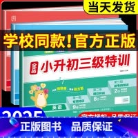 [!]语数英[全国版 3本套] 小学升初中 [正版]2025版 小升初三级特训语文数学英语全套 小学毕业升学真题模拟