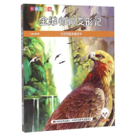 正版新书]金雕帅帅变形记(彩绘注音版)侯红霞9787557503543